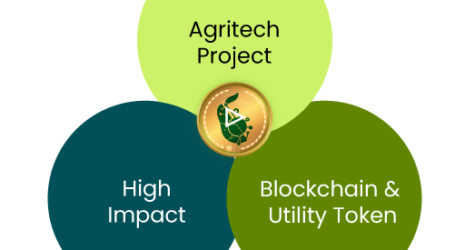 El sustentable proyecto Blockchain del Oro Verde