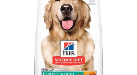 Hill’s Science Diet presenta su línea Specialty para cada necesidad de la mascota
