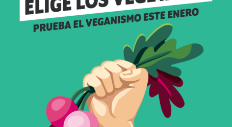 Comenzó Enero Vegano: campaña invita a las personas de México a probar la alimentación basada en plantas